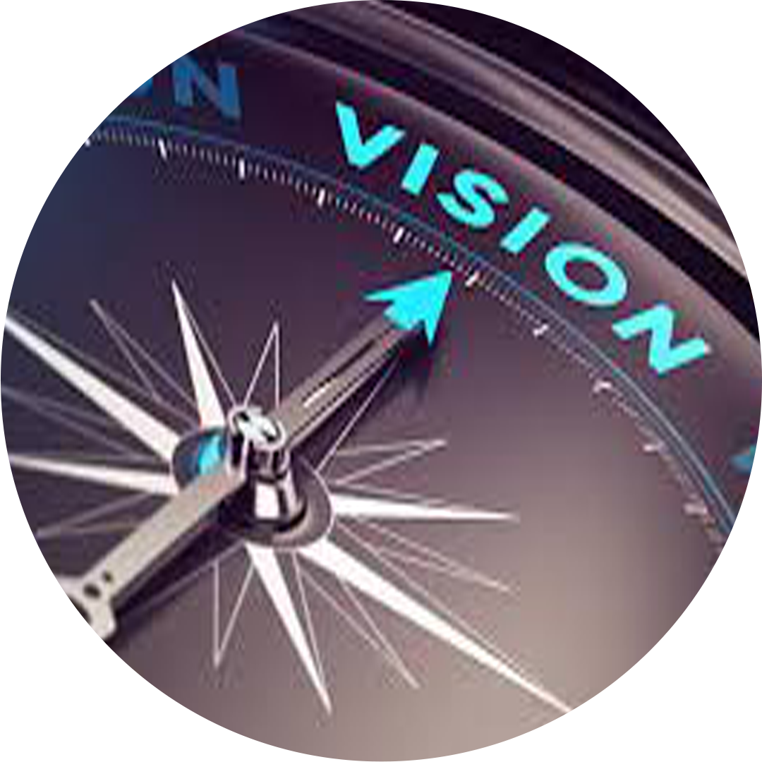 vission 1